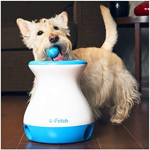 iFetch Frenzy Köpekler için Oyuncak Getir-Küçük Köpekler için Elektronik Olmayan Zeka Oyunu; Mini Tenis Topları kullanır