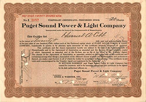 Puget ses gücü ve ışık A. Ş. - Tercih Edilen Hisse Senedi Sertifikası
