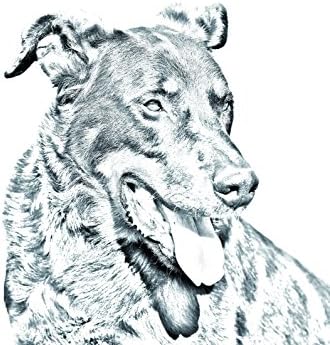 Beauceron, Bir Köpek Görüntüsü ile Seramik Karodan Oval Mezar Taşı
