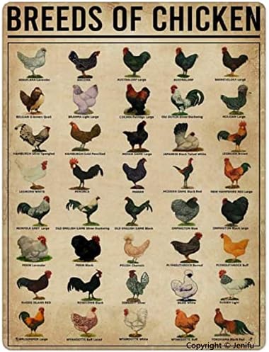 Tavuk ırkları komik Metal Tabelalar Poster Duvar Sanatı Ev Dekor Vintage Demir Boyama Retro Yenilik Çiftlik Çiftlik