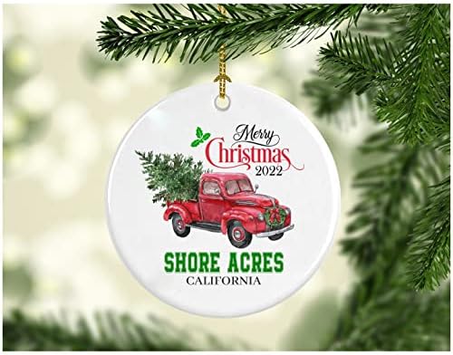 Noel Dekorasyon Ağacı Mutlu Noeller 2022 Shore Acres California Süsleme Komik Hediye Bir Aile olarak Noel Tatili Yeni