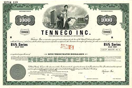 Tenneco Inc. - 1000 Dolar-Tahvil