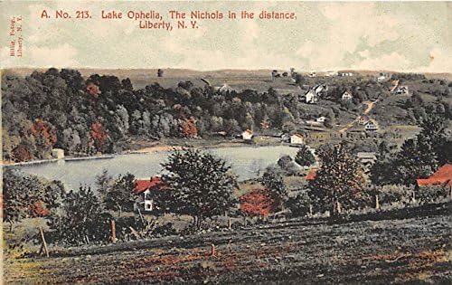 Uzaktaki Ophelia Nichols Gölü Özgürlük, New York, Kartpostal