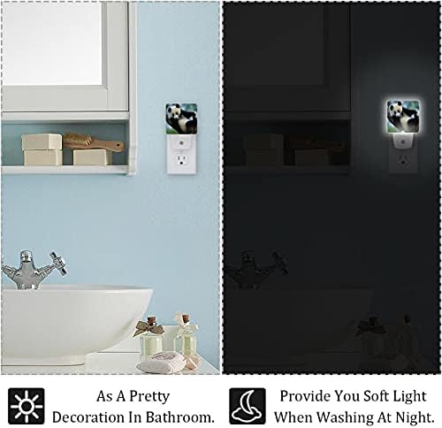LORVIES Sevimli Panda Plug in LED Gece Lambası Otomatik Sensör Alacakaranlıktan Şafağa Dekoratif Gece Yatak Odası,