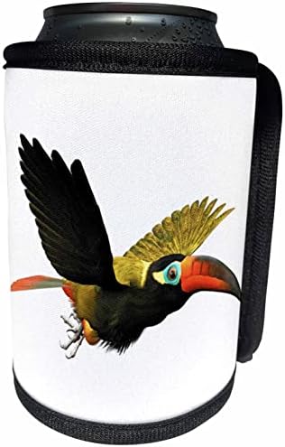 3dRose Boehm Grafik Kuş - Guinan Toucanet Erkek Kuş-Can Soğutucu Şişe Sarma (cc_357654_1)