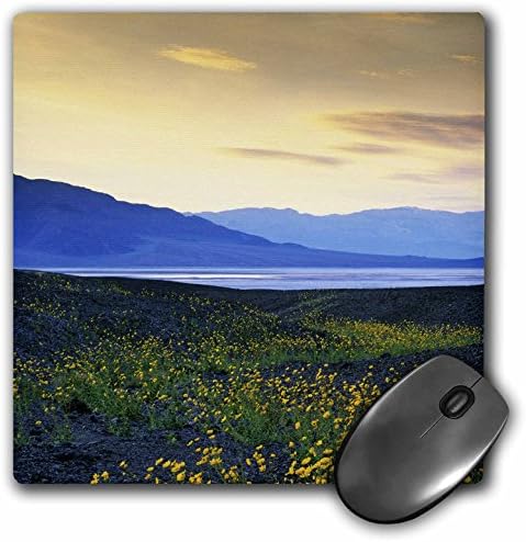 3dRose LLC 8x8x0. 25 İnç California Ölüm Vadisi Çöl Altın Ayçiçeği Jaynes Galeri Mouse Pad (mp_88258_1)