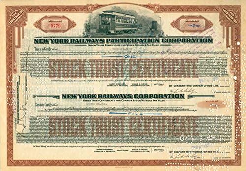 New York Demiryolları Katılım Şirketi - Stok Sertifikası
