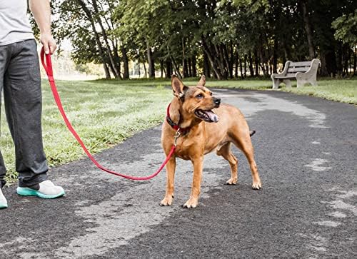 Pet Life ® Lovable-Havlayan Evcil Hayvan Kazağı-Kaplumbağa Yakalı Tasarımcı Köpek Kazağı-Sıcak Tutmak için Tasarlanmış