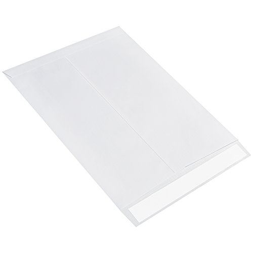 Ship-Lite® Düz Zarf, 12 x 15 1/2, Beyaz, 100 / Kasa