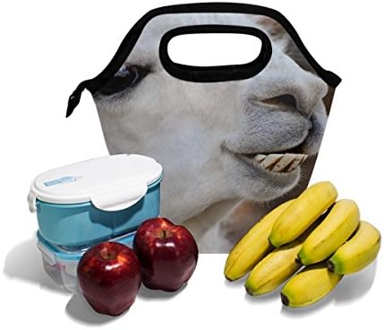 HEOEH Komik Hayvan Lama Diş Öğle Yemeği soğutucu çanta Tote Çanta Yalıtımlı Fermuar Öğle Yemeği Kutuları Çanta Açık